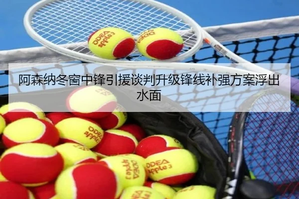 阿森纳冬窗中锋引援谈判升级锋线补强方案浮出水面 - QIUSUSPORTS